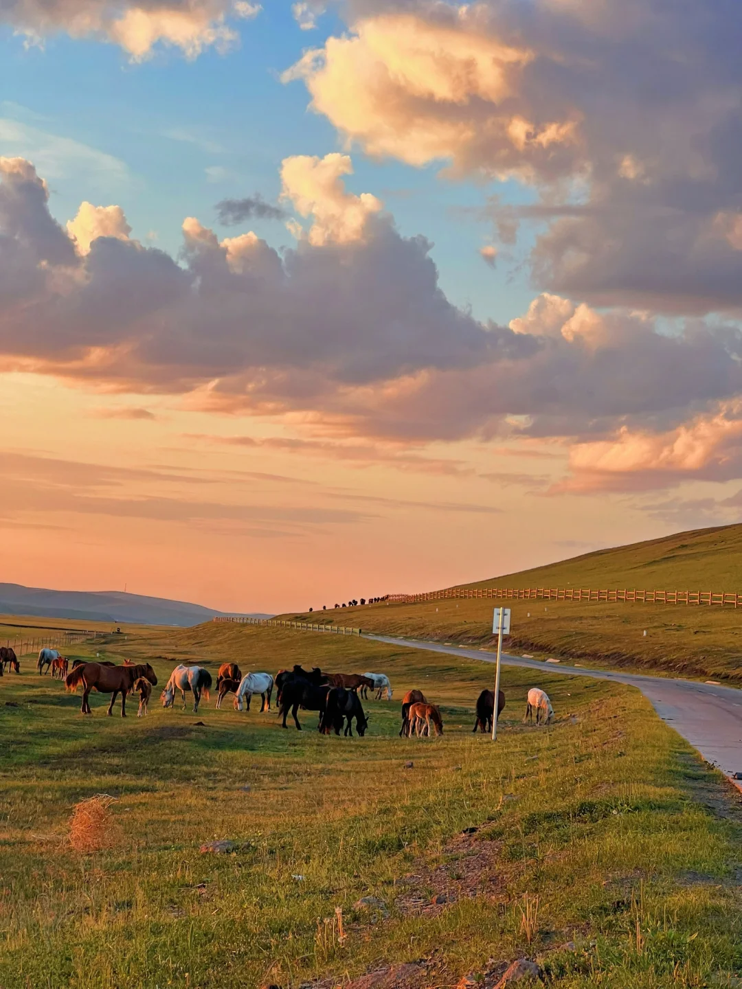 开始攒钱！！夏天再去一次呼伦贝尔！！