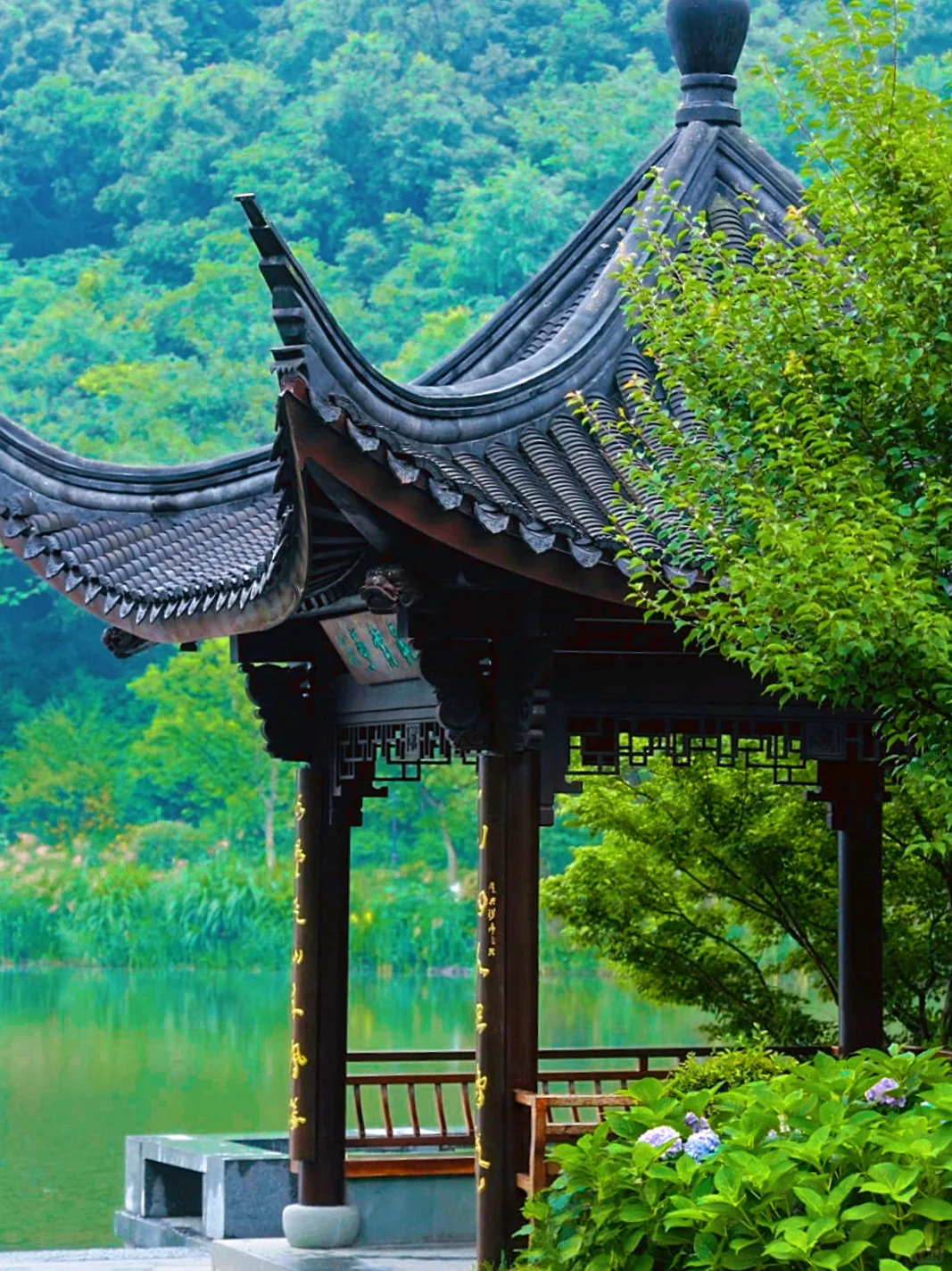 灵山杭城版去有风的地方🍃