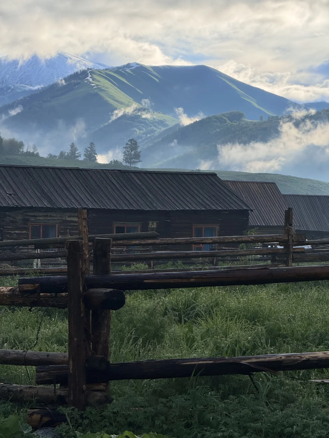 五月底的阿勒泰live