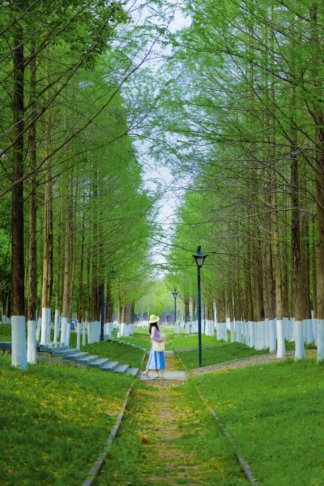 比起东湖，我更喜欢这条绿野仙踪宝藏路线……