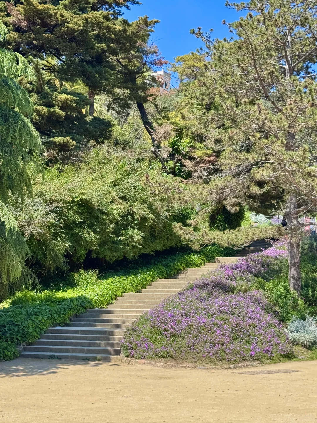 巴塞罗那 桂尔公园 🌹❤️‍🩹🇪🇸