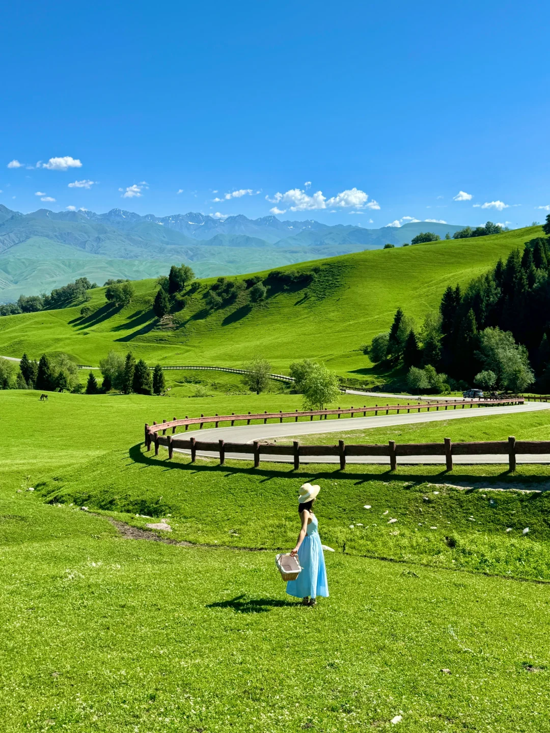 在新疆拍到了我的人生live图～🌳🌳