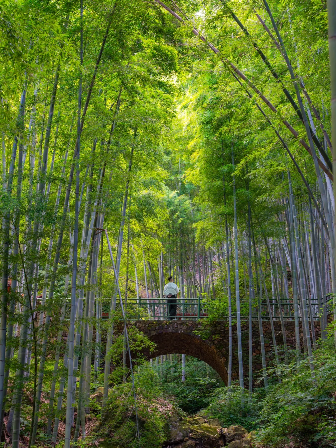 五一反向游，推荐一个人少又治愈的宝藏小城
