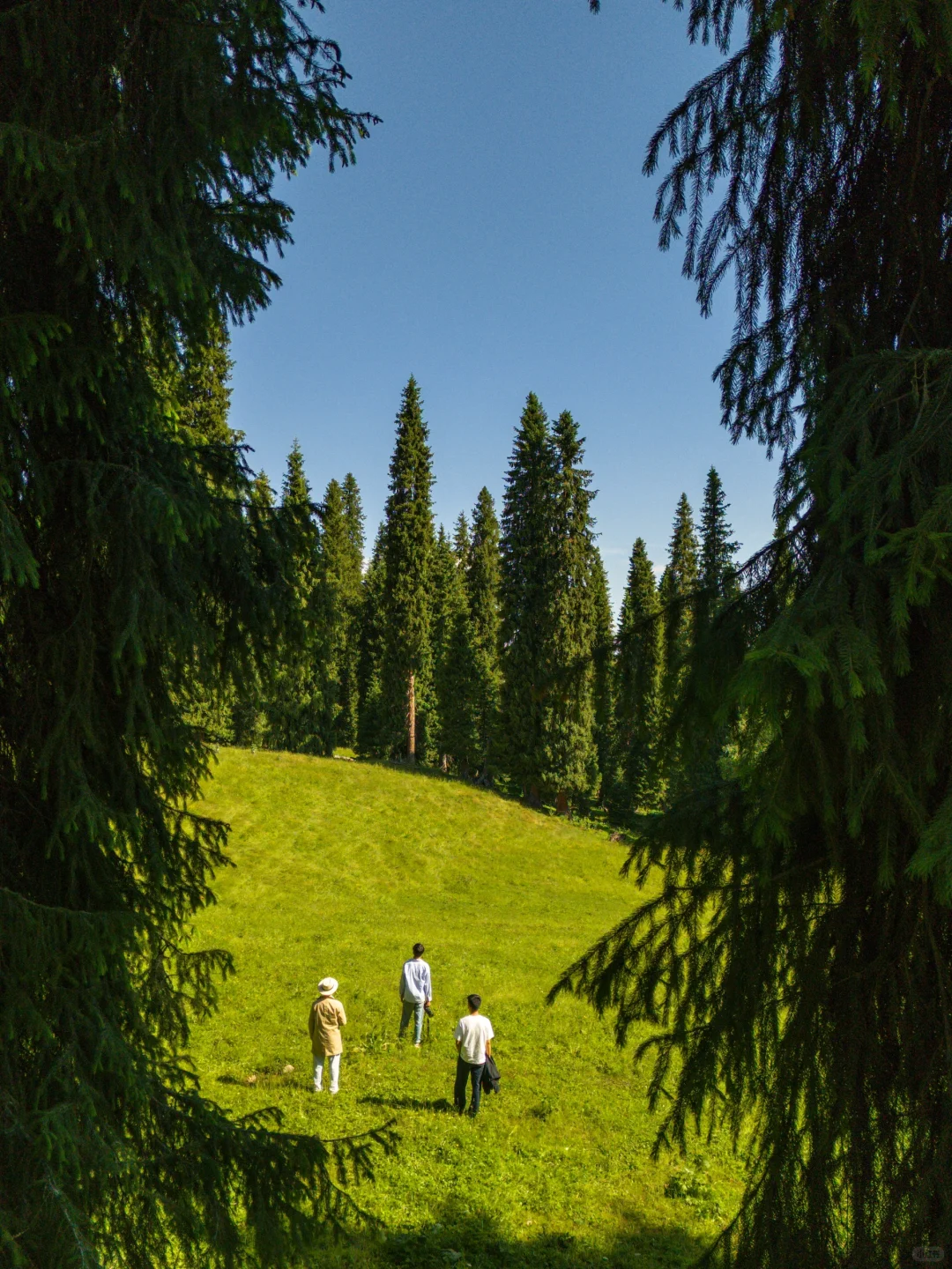 春天的新疆伊犁，每一帧都是童话世界❗️❗️❗️