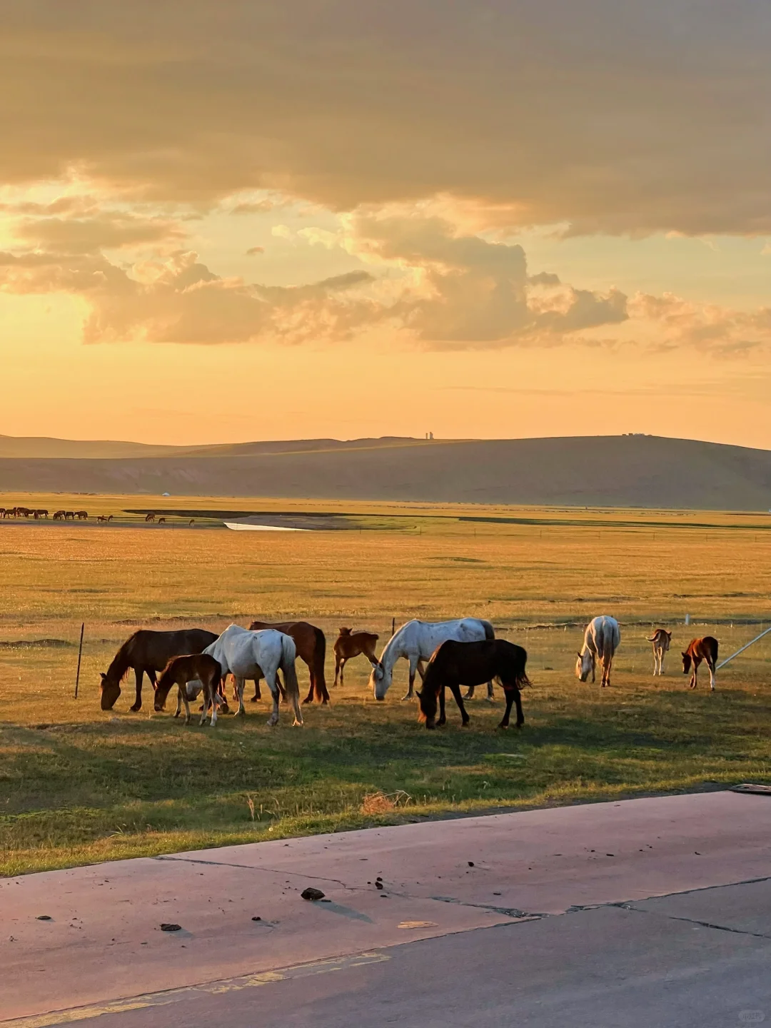 开始攒钱！！夏天再去一次呼伦贝尔！！