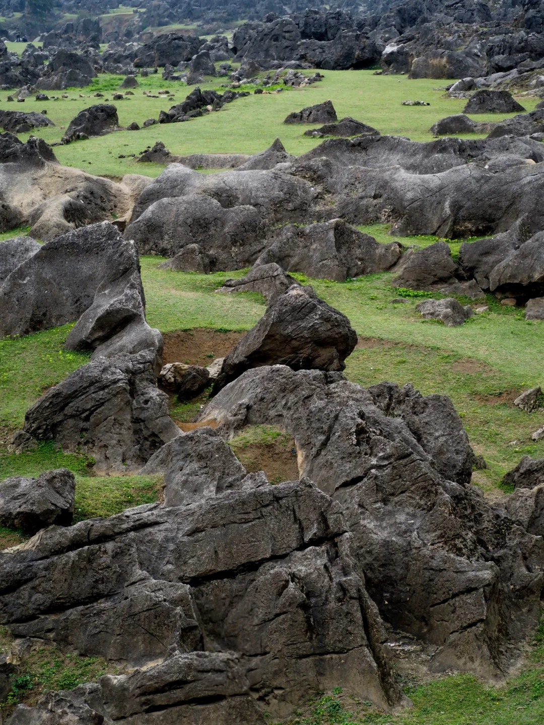 不会后悔的两天玩转安顺攻略