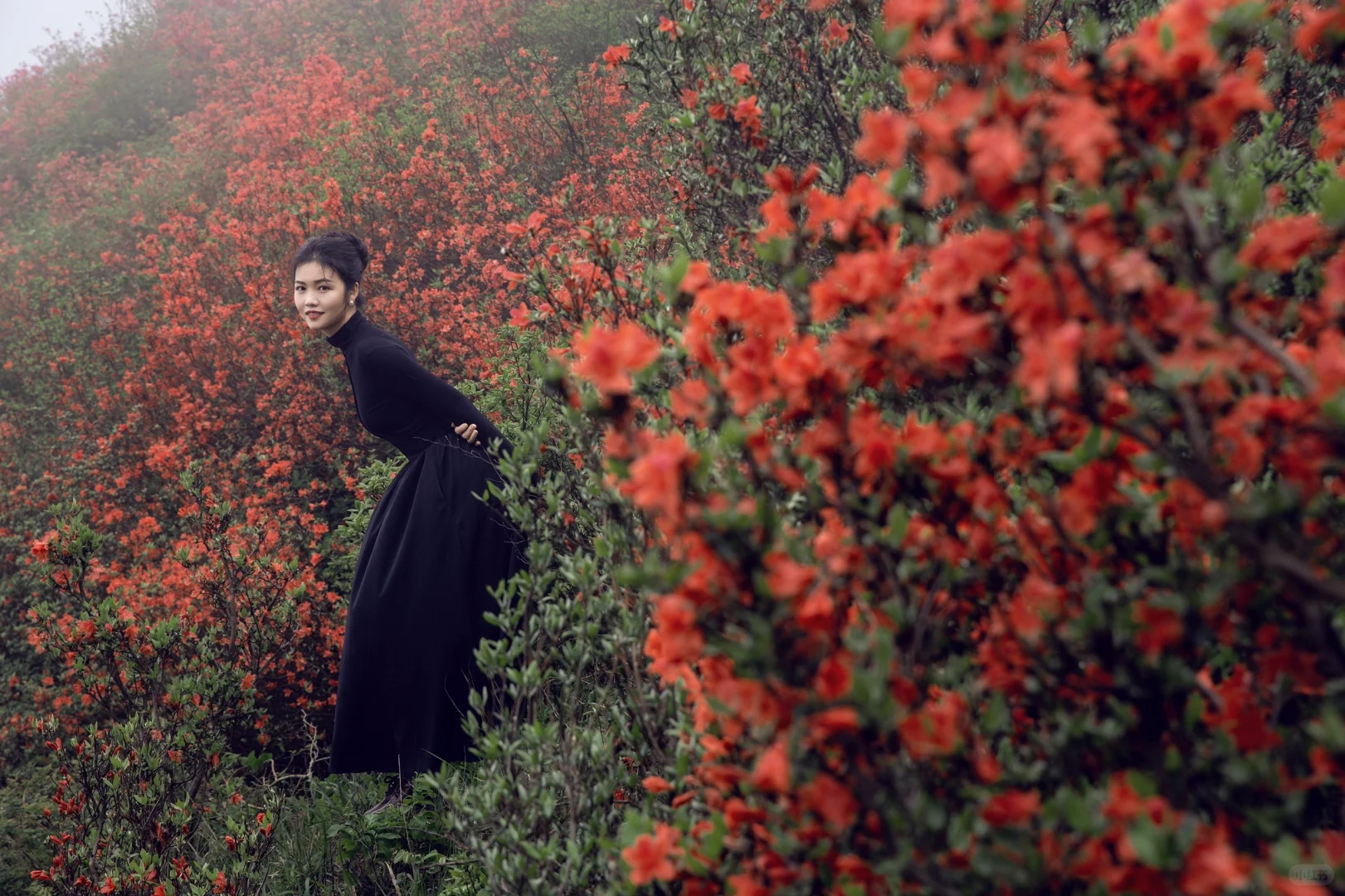 五一反向旅游,松弛感拉满的映山红秘境