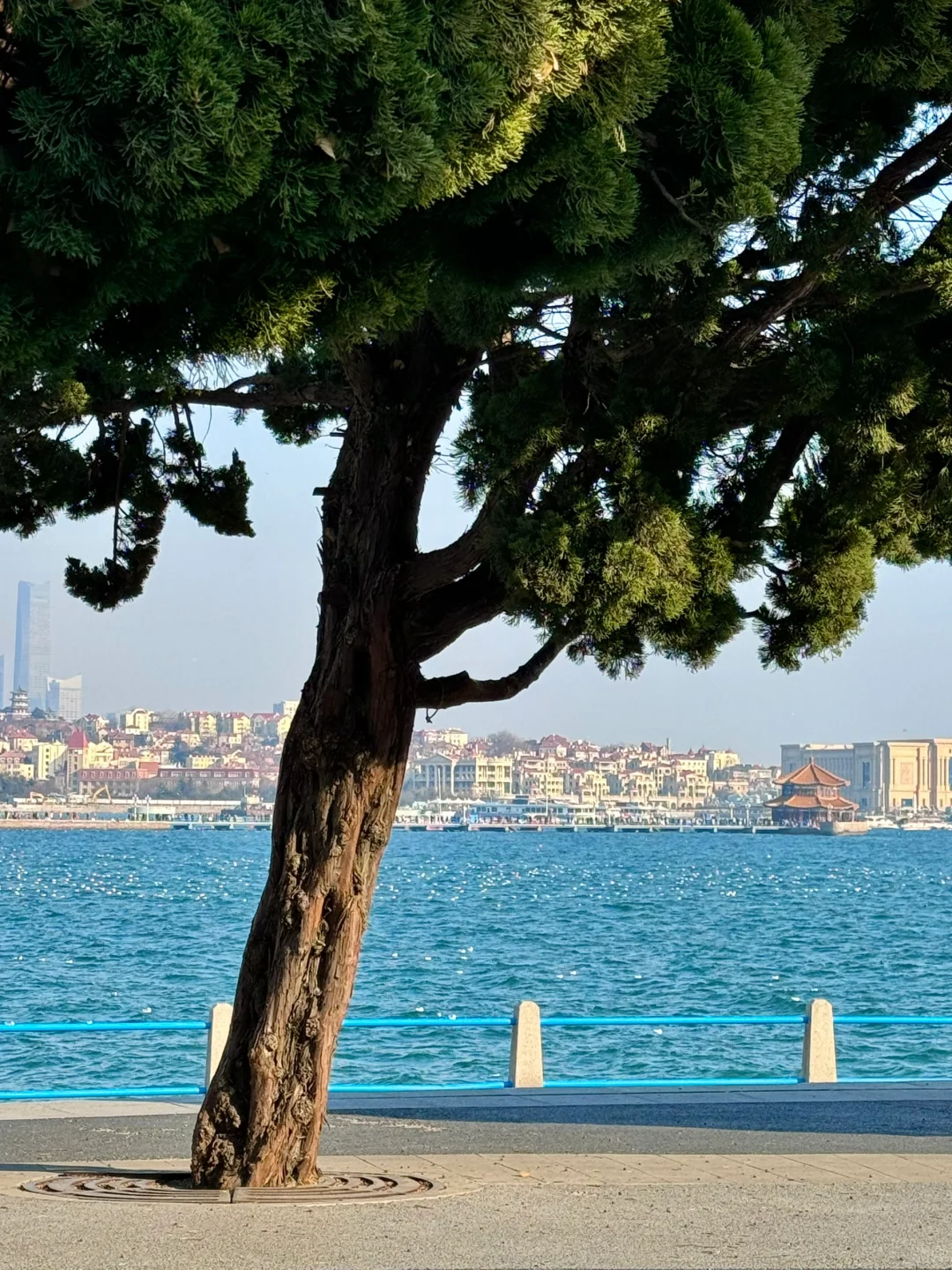 4.28青岛实况！淡季人好少啊！！