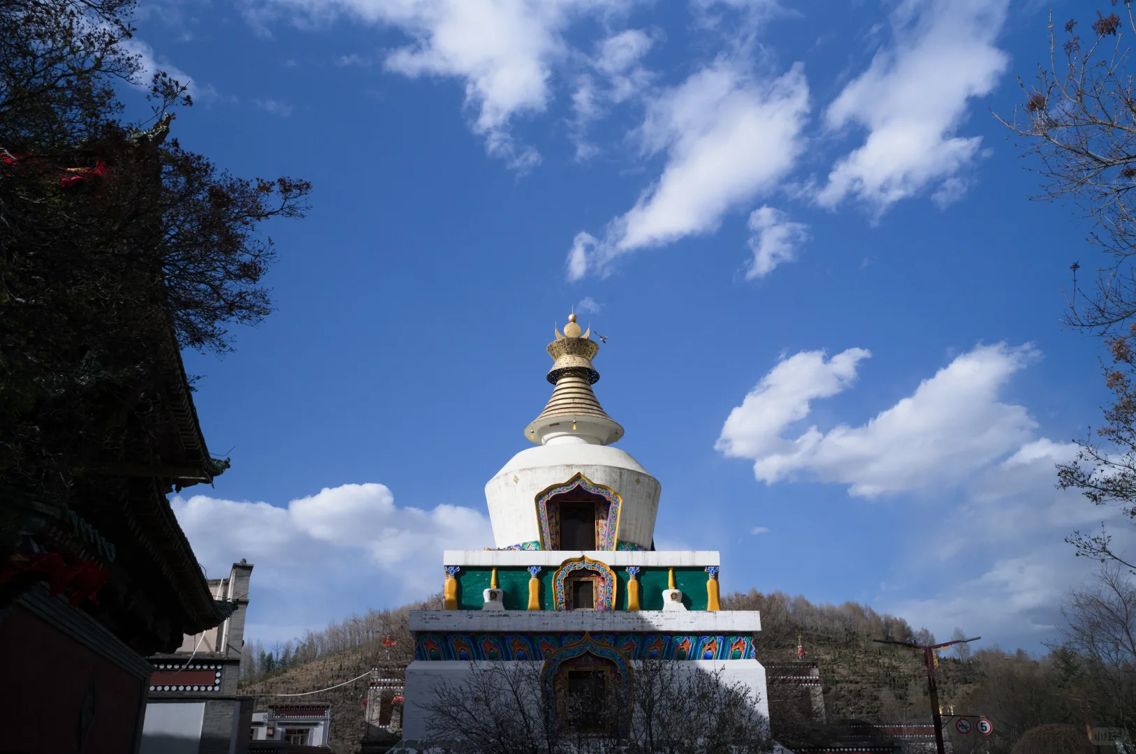 每个人心中的塔尔寺｜青海旅行第一站