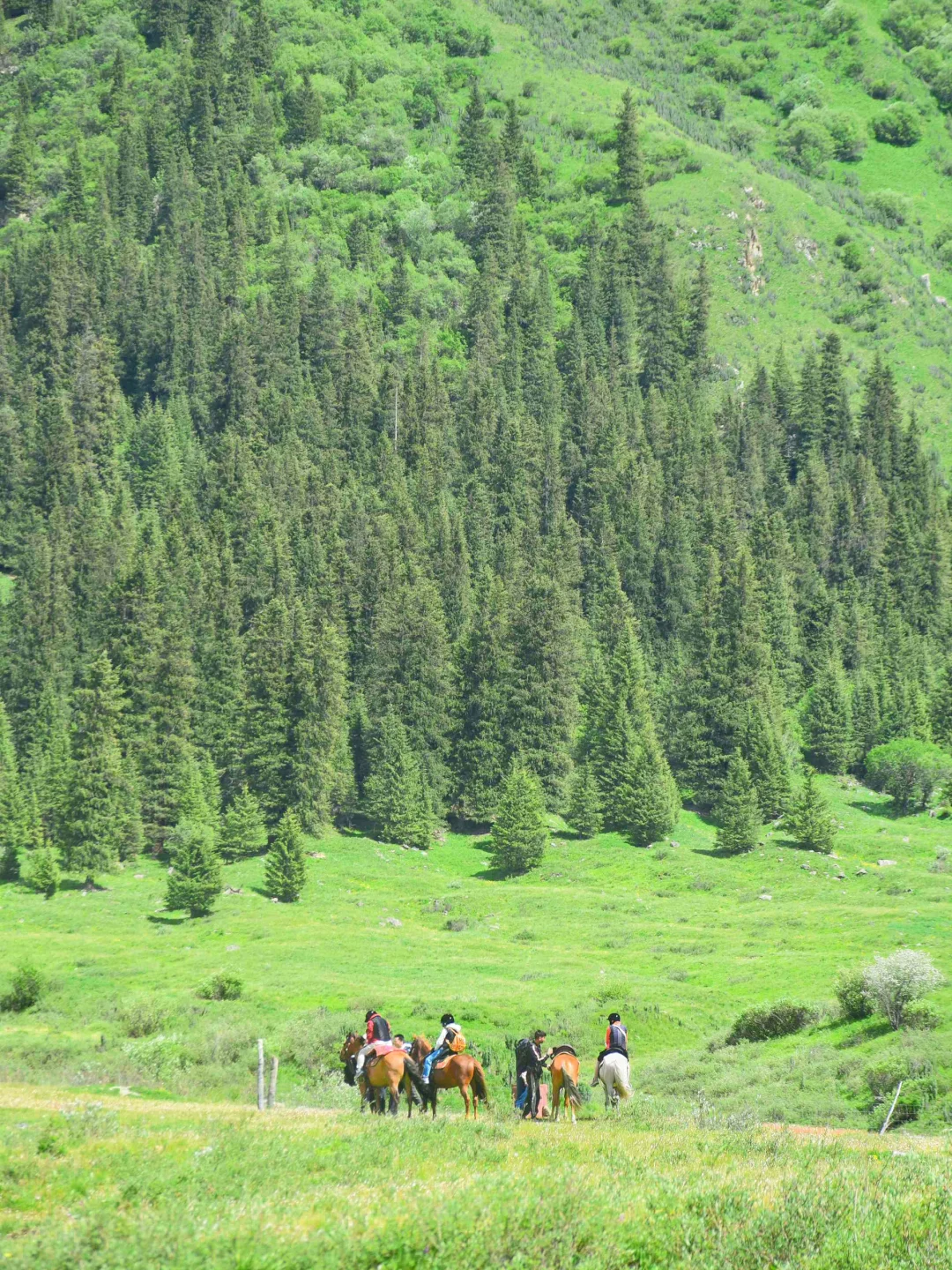 接下来几个月的新疆，每一张都是童话世界！！！