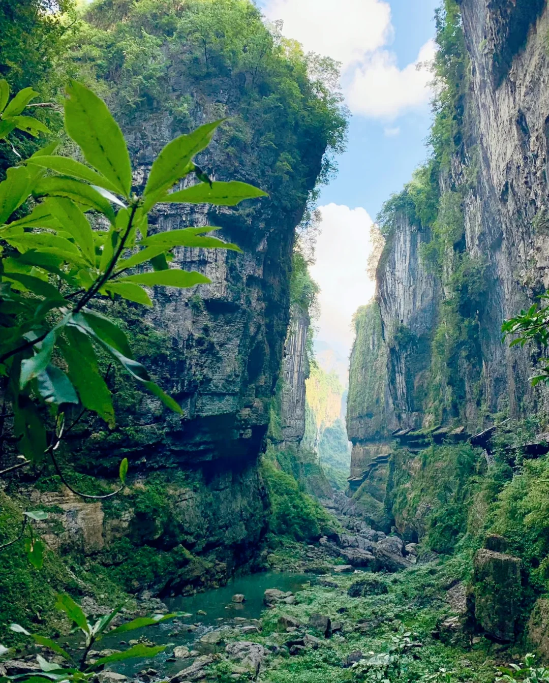 探秘“地球最美伤痕”——恩施大峡谷