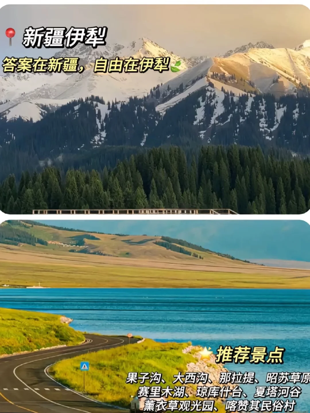 五一别瞎选🙌🏻总有一个能戳中你的心巴