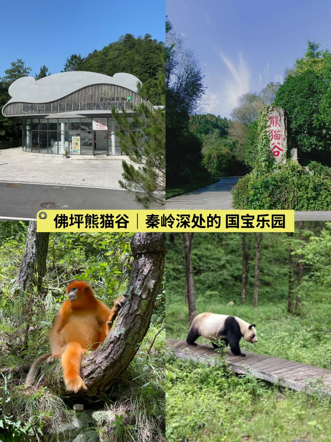 🌟五一反向出行攻略｜人少避暑的6个宝藏地🌟