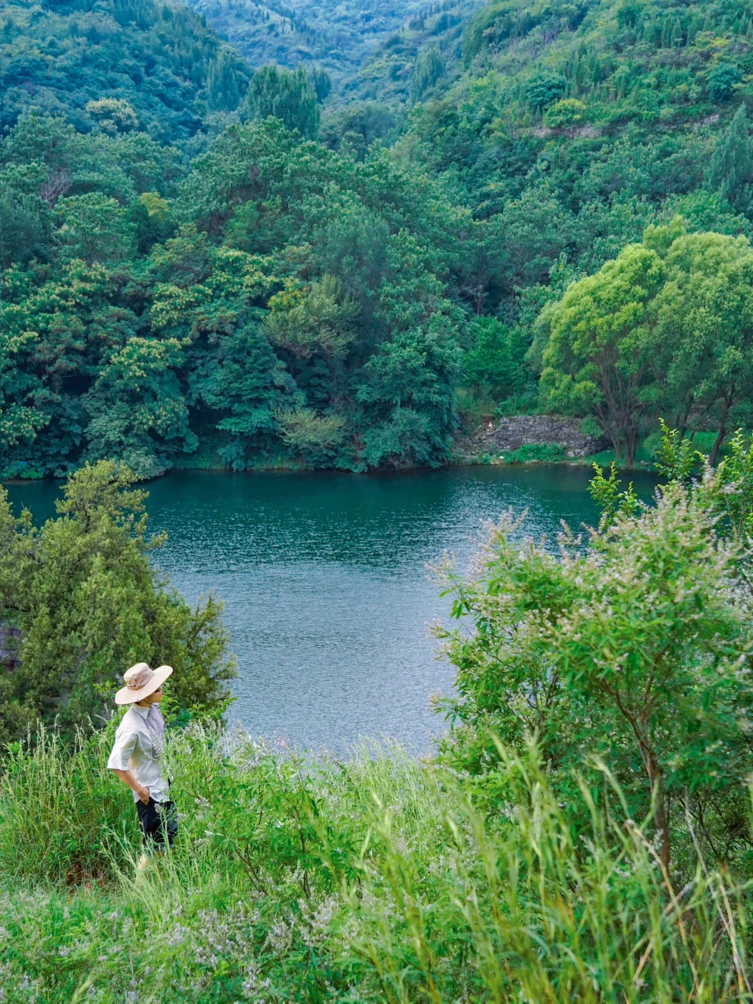 藏于山东深山的世外桃源🍃大自然空调真香