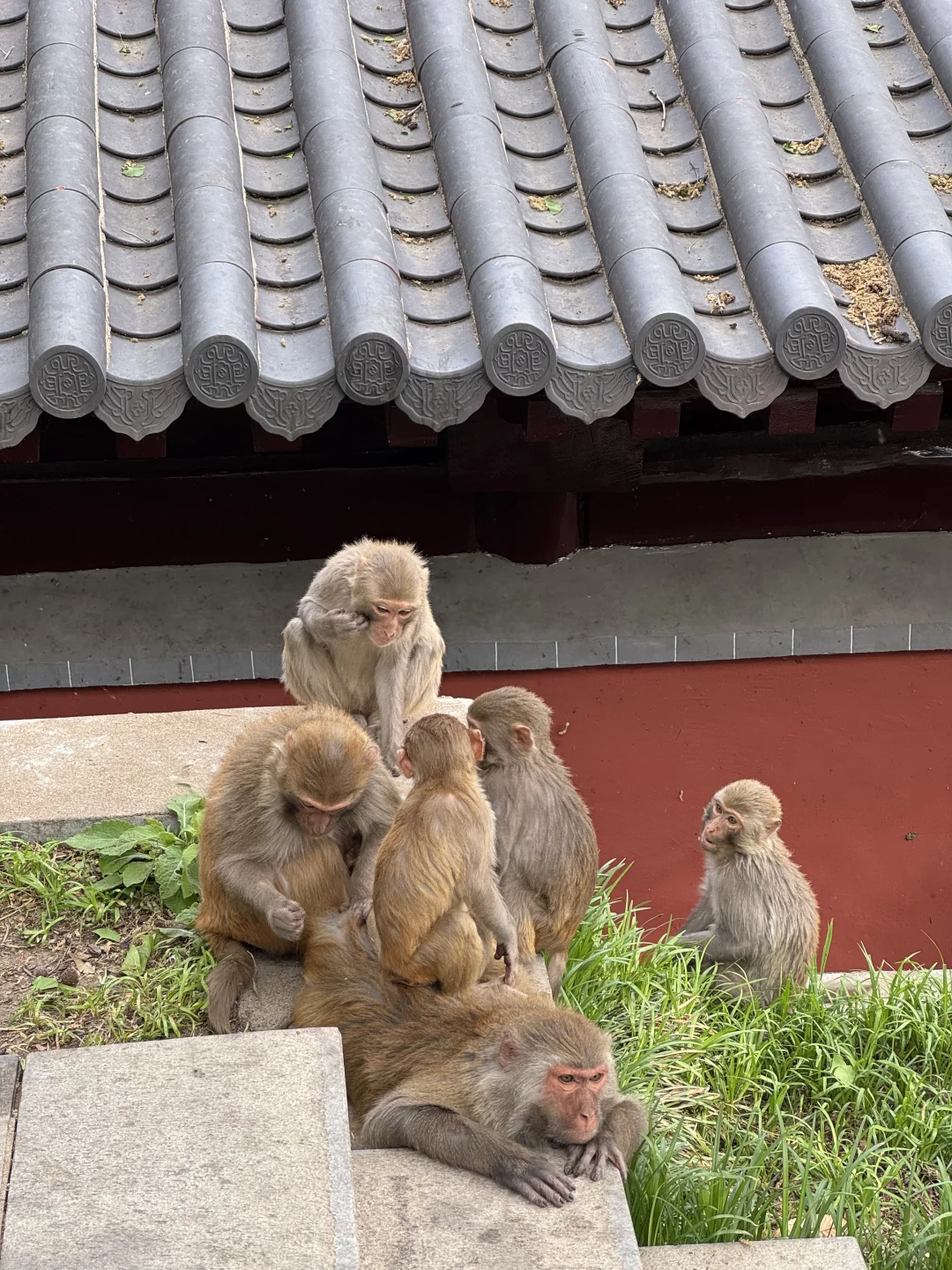 迄今为止,我蕞喜欢的宝藏旅行地出现了…live