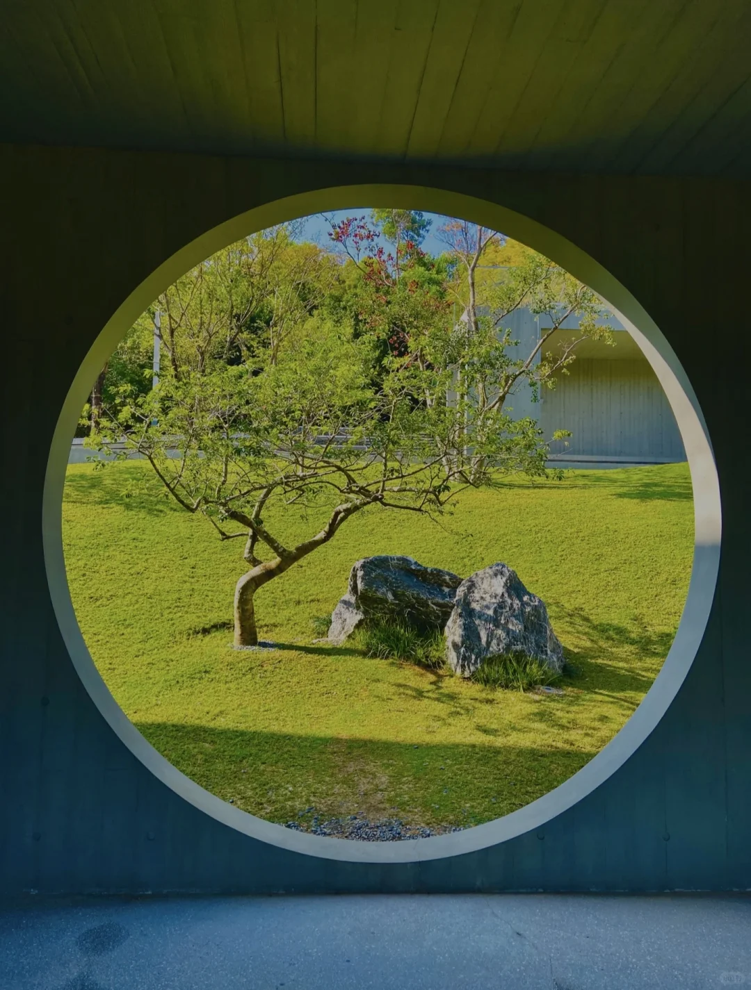 光明五一假期去哪玩？虹桥公园攻略请收好！