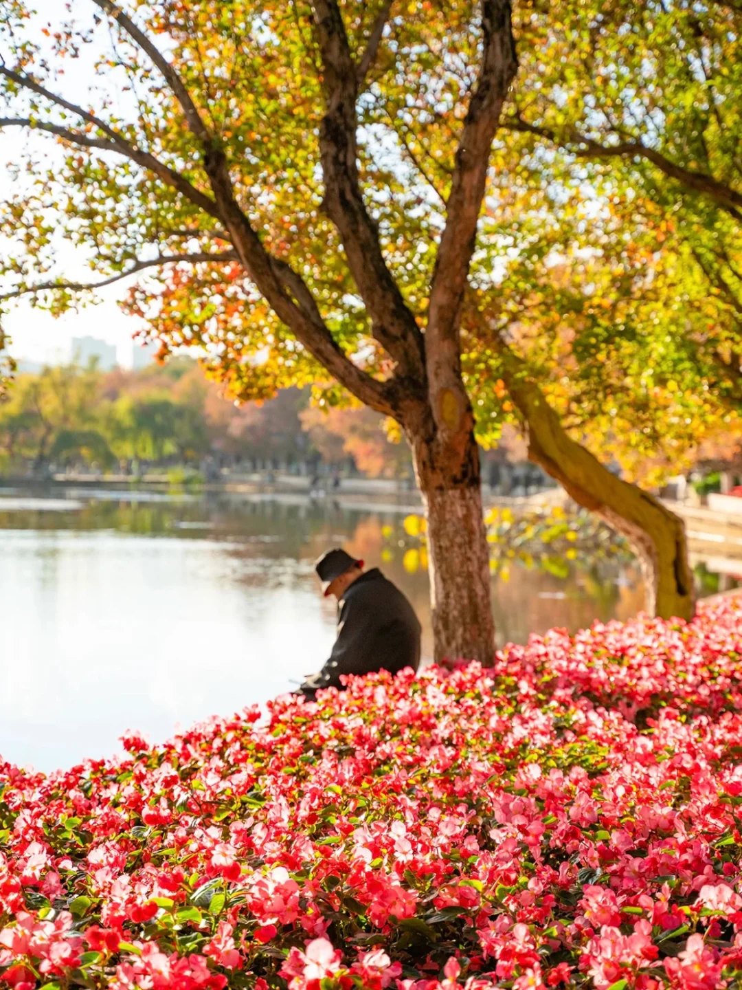 04女大📍独闯昆明 | 三天不走回头路攻略