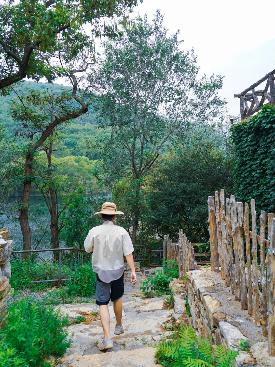 藏于山东深山的世外桃源🍃大自然空调真香