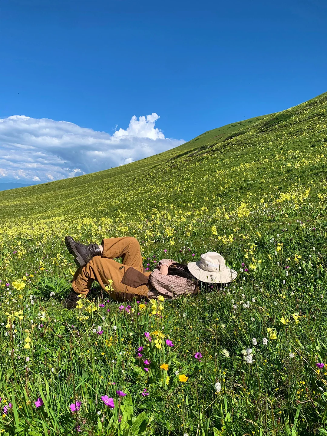 川西的夏天,是宫崎骏的童话世界🎨