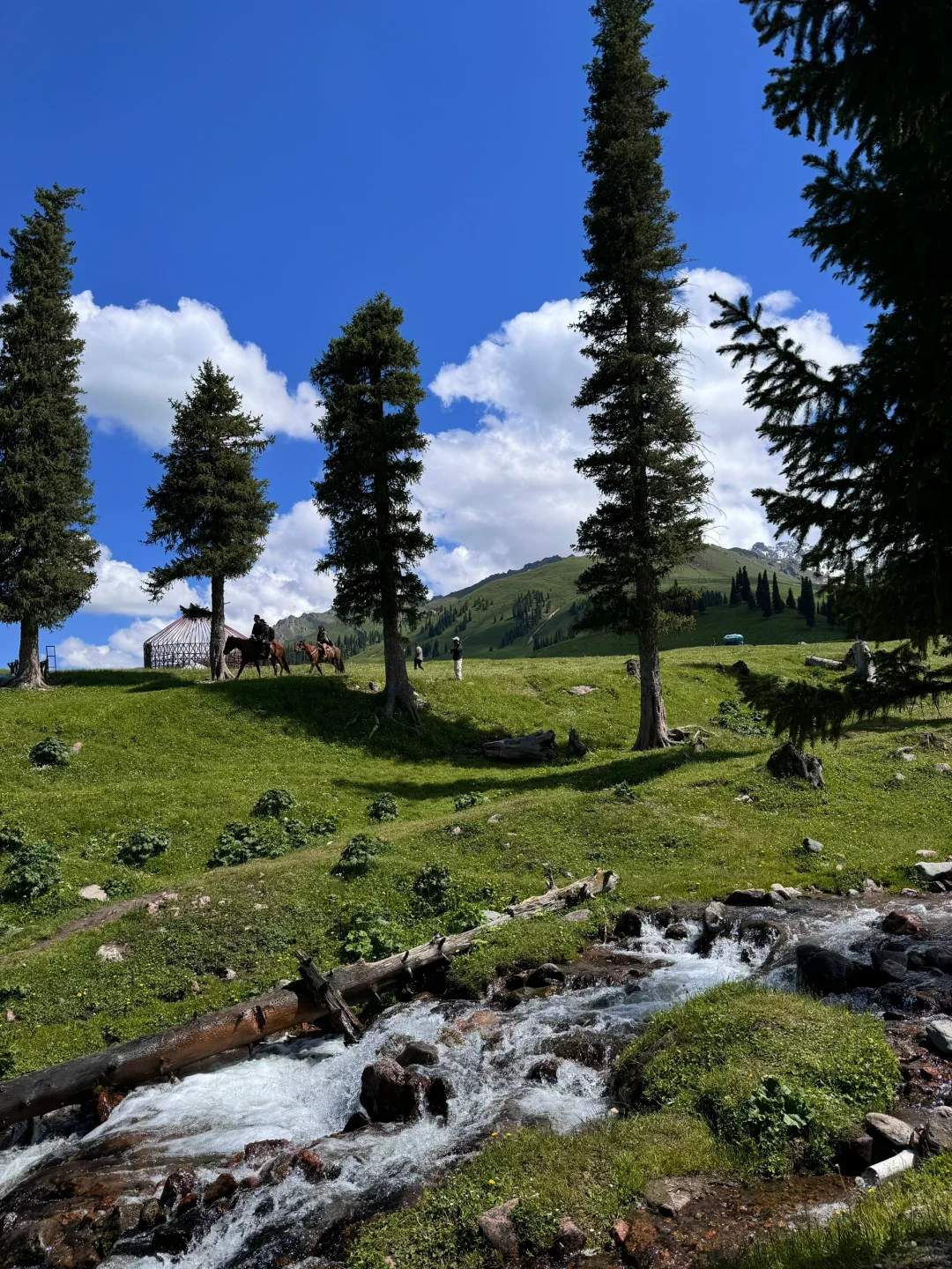 五月底的阿勒泰live