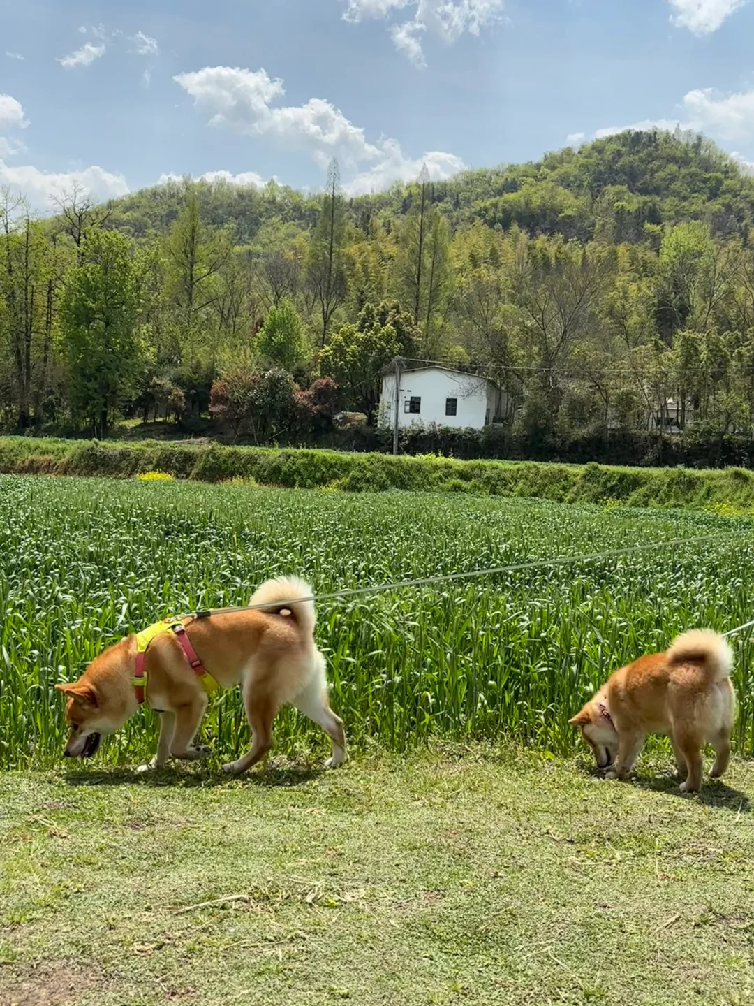 安吉｜余村🌳🍃世界最佳旅游乡村
