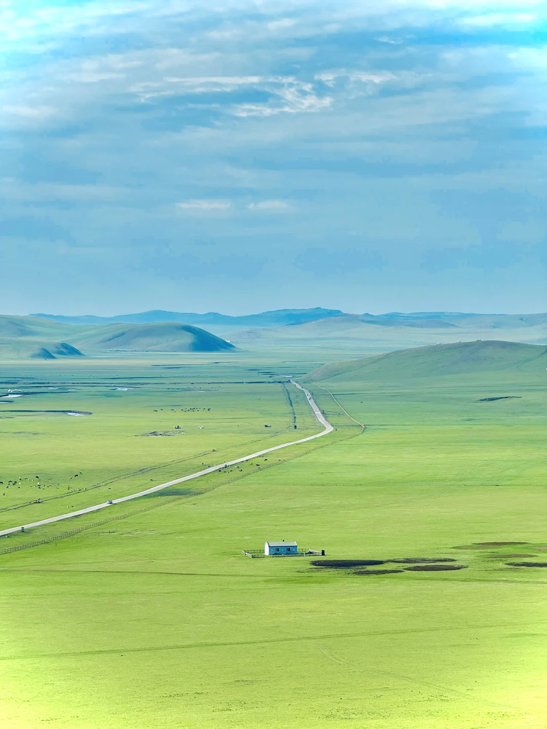 以为新疆已经很美了，直到我去了呼伦贝尔……