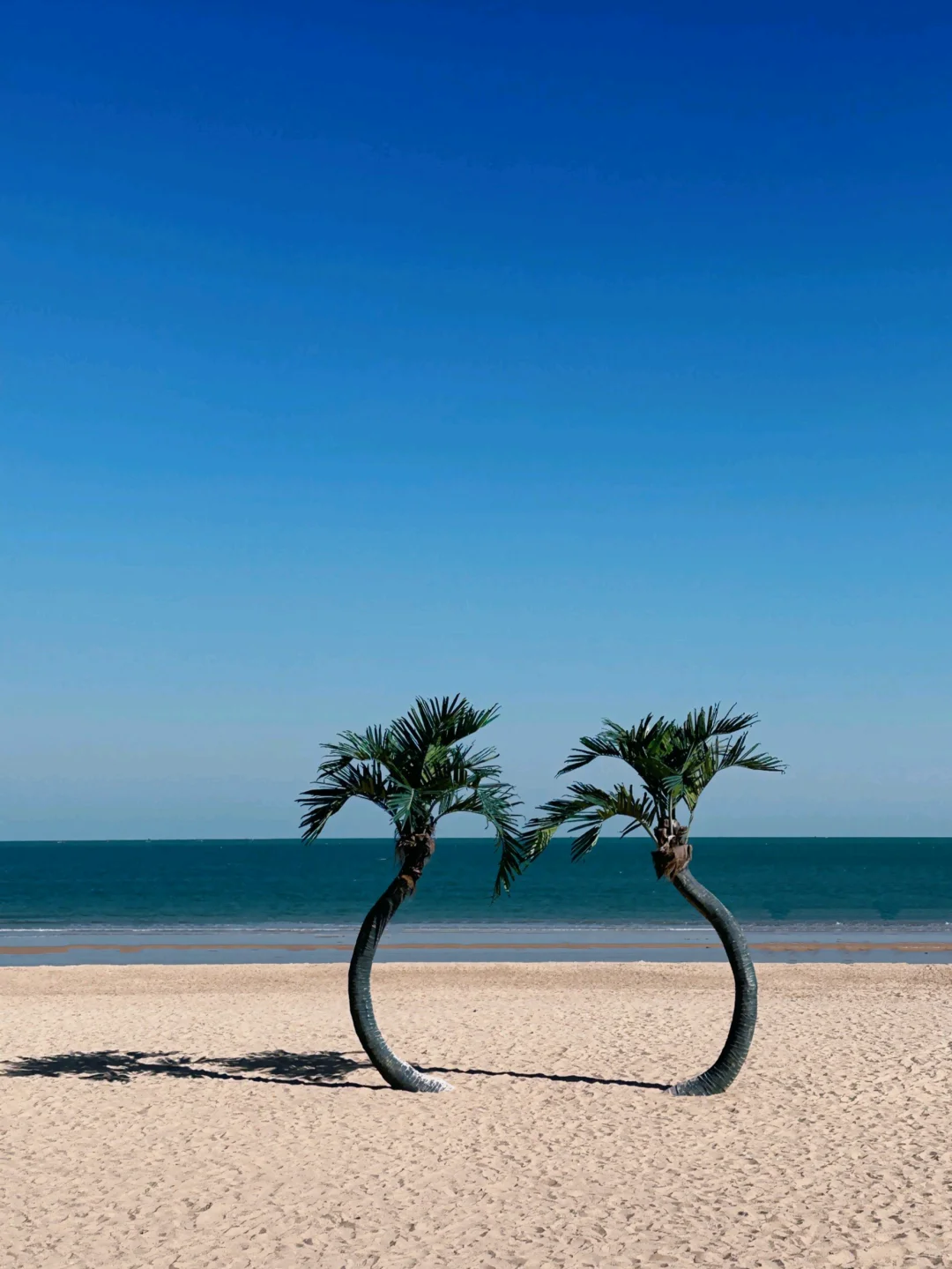 5-6月来日照千万不要🙅把顺序搞反了