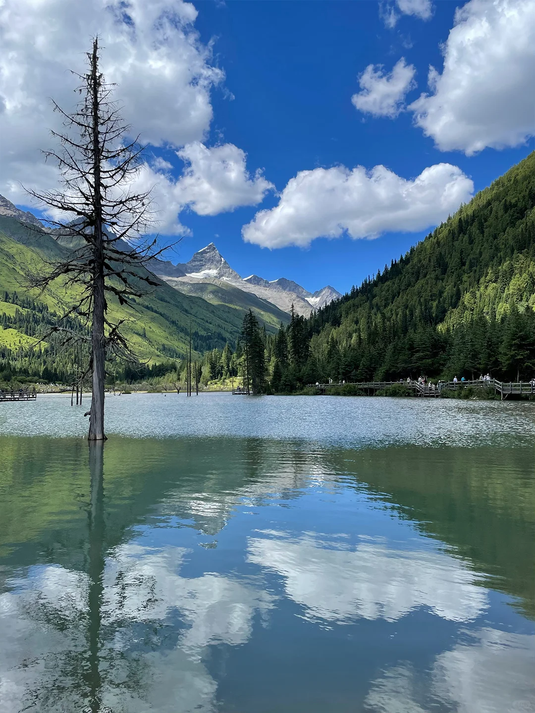 川西的夏天,是宫崎骏的童话世界🎨