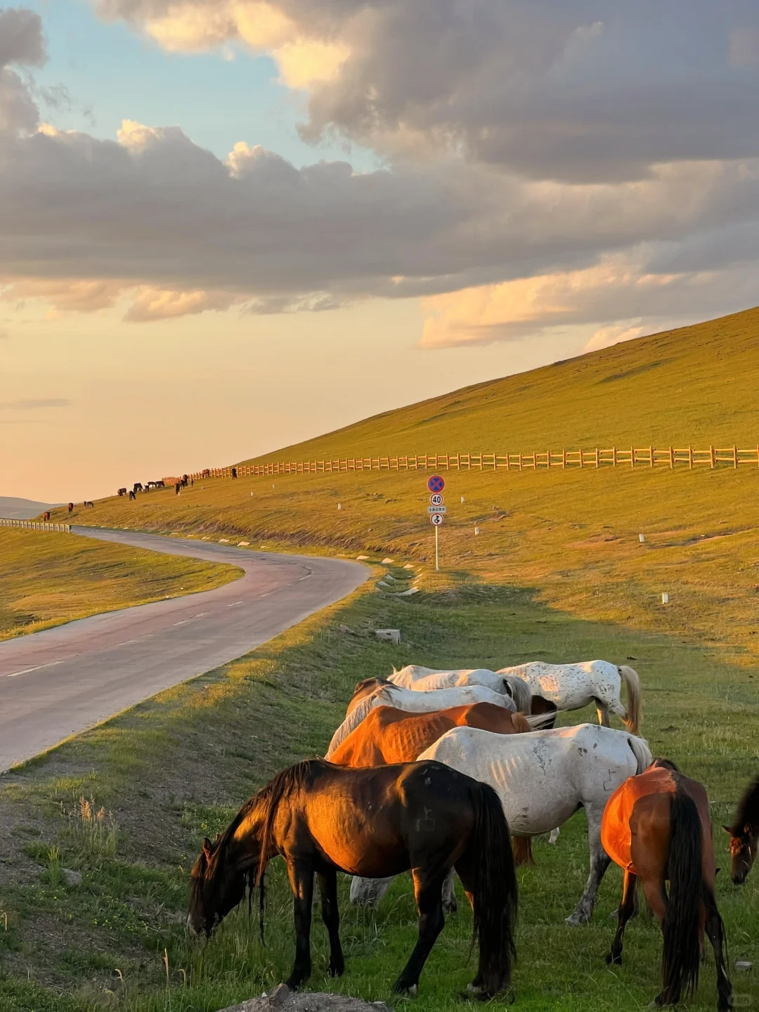 开始攒钱！！夏天再去一次呼伦贝尔！！