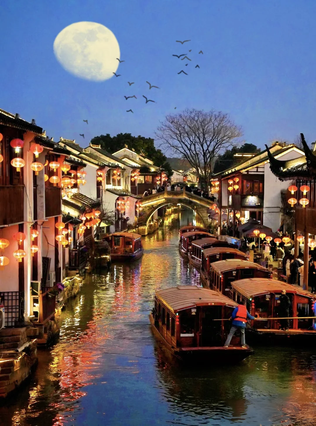 江南春日，苏州限定浪漫之旅