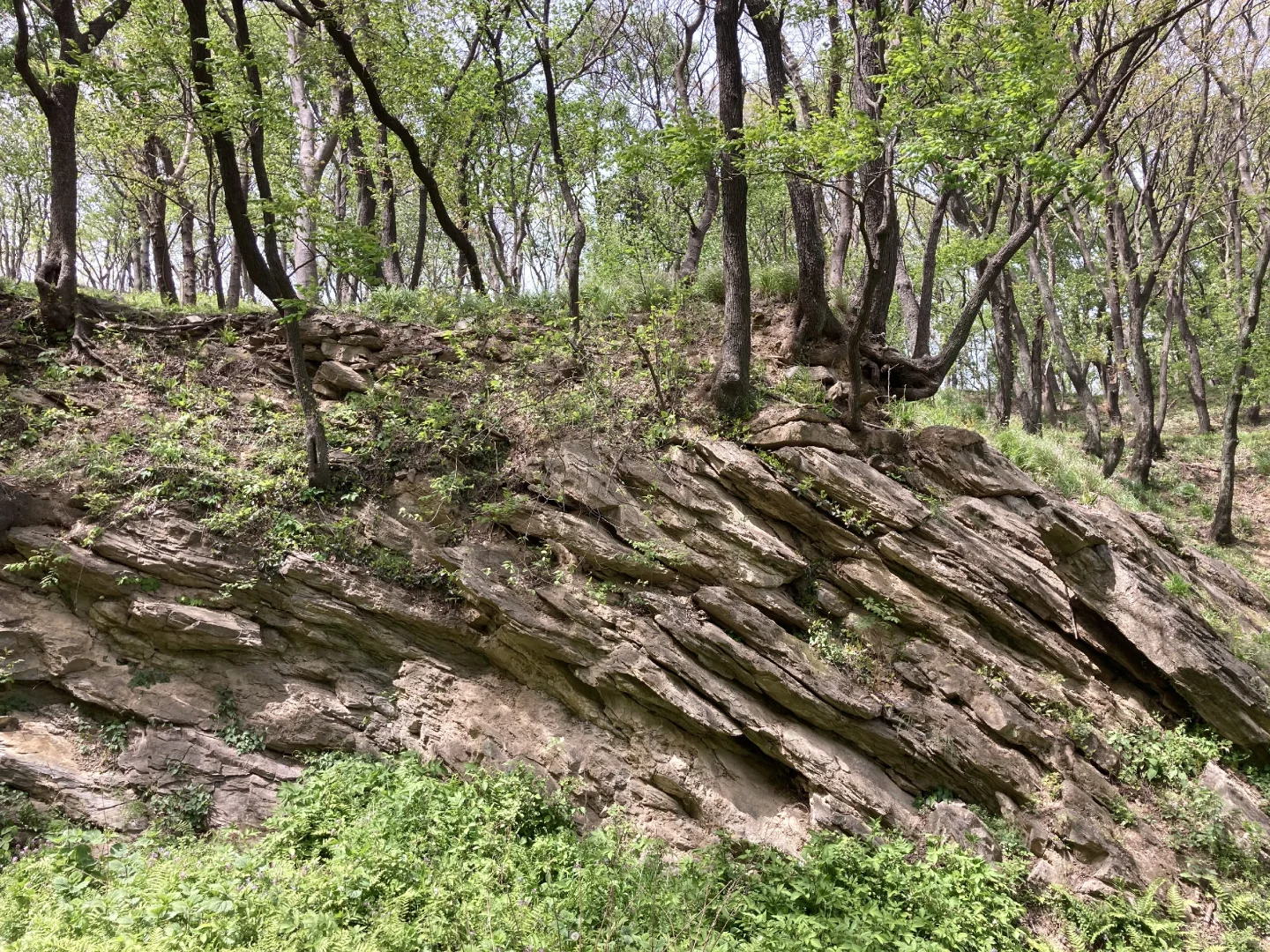 安徽滁州|清流关