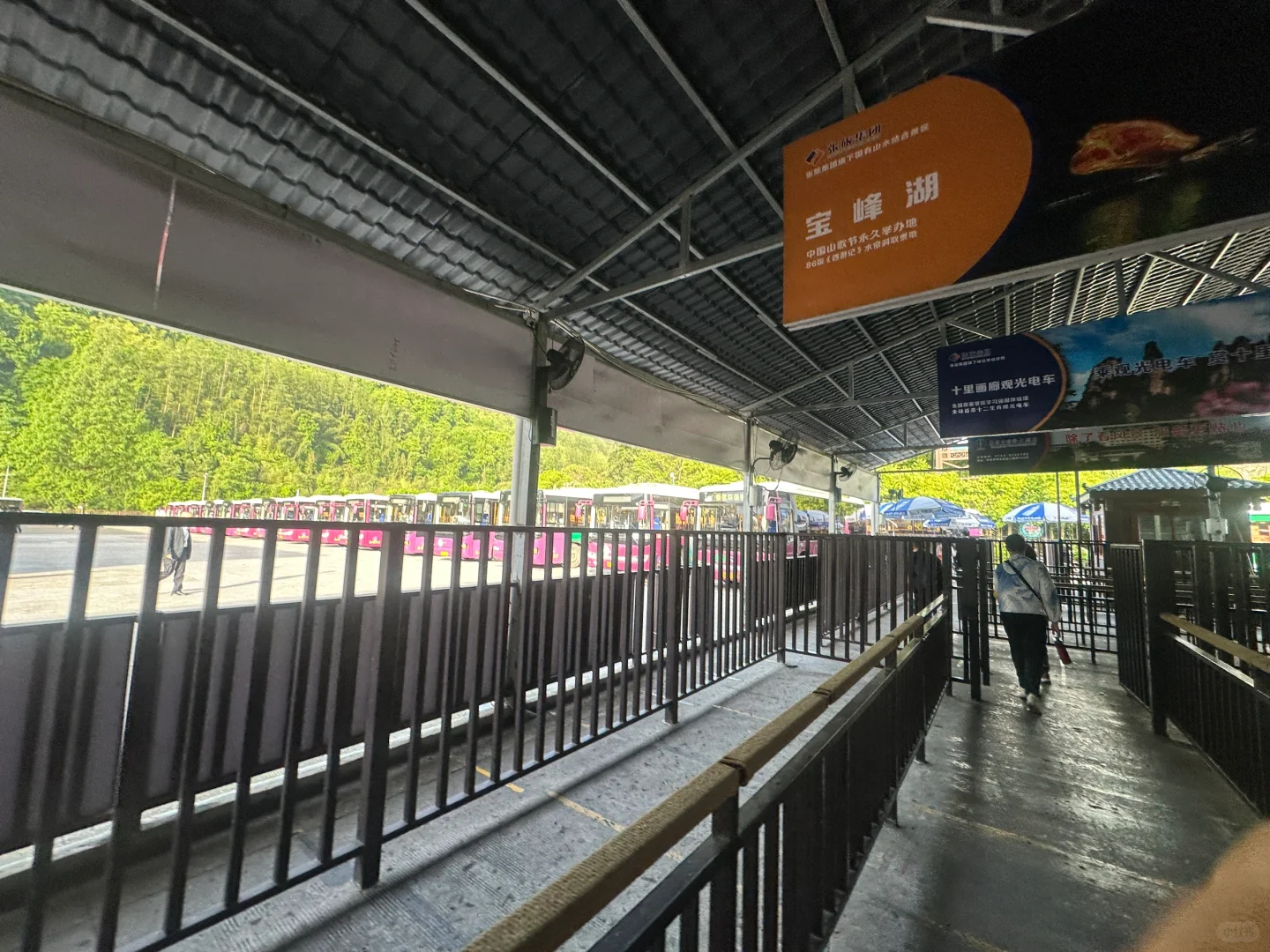 五一张家界东门游玩路线和客流