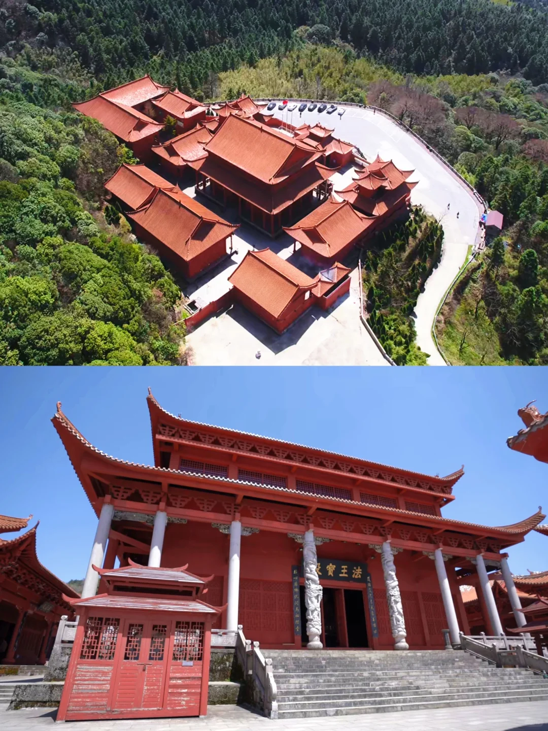 五一反向游！闯入10万亩杜鹃花海秘境