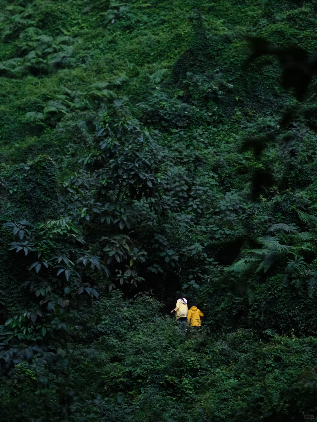 为了这1️⃣8️⃣张图，我专门飞了一趟贵州‼️