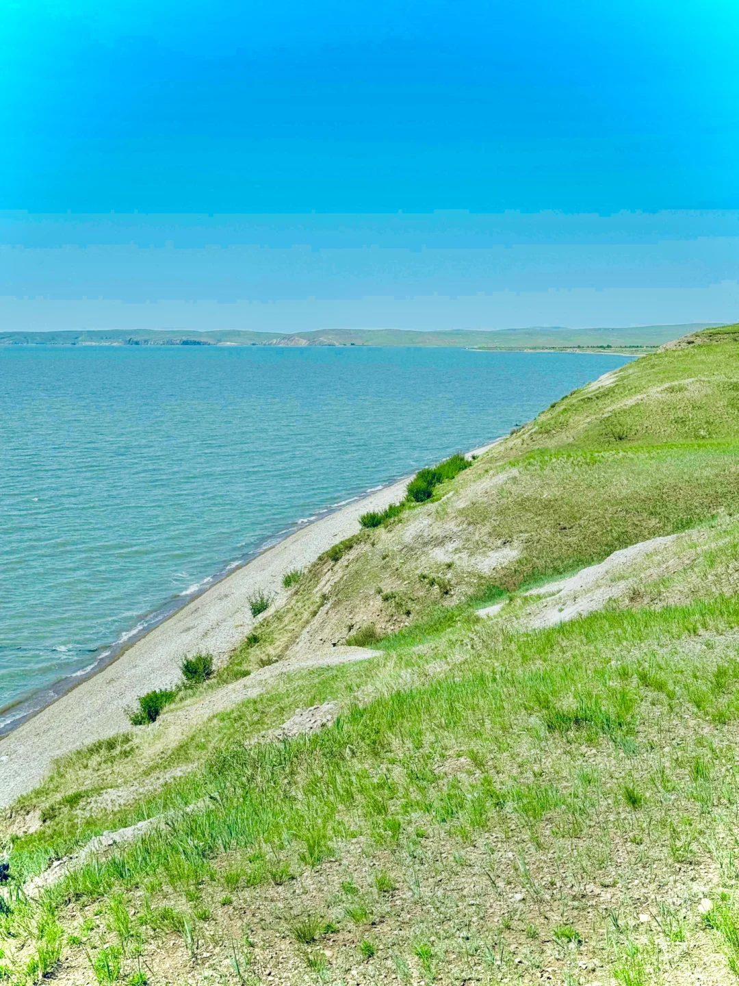 以为新疆已经很美了，直到我去了呼伦贝尔……