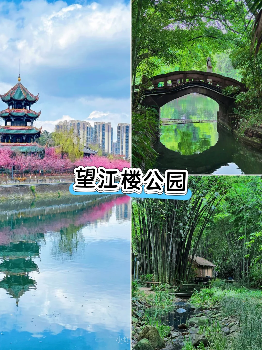 五一别去人挤人❗来成都这5家公园反向游❗