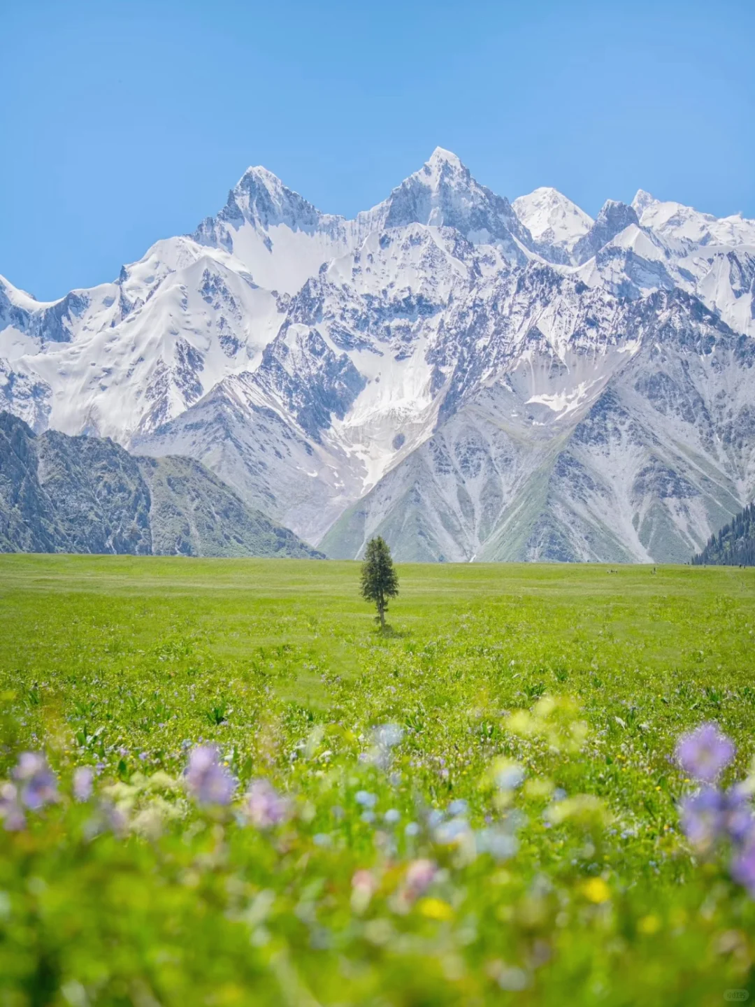 预计今夏新疆会爆火🔥的地方——夏塔🏔