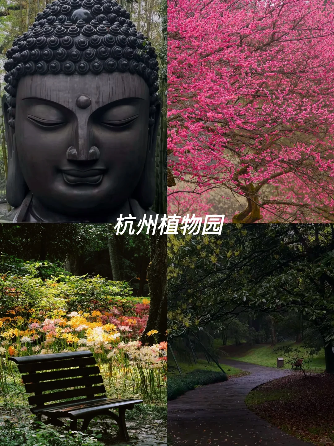 5.1 杭州必去的十大景点 ！人少景美