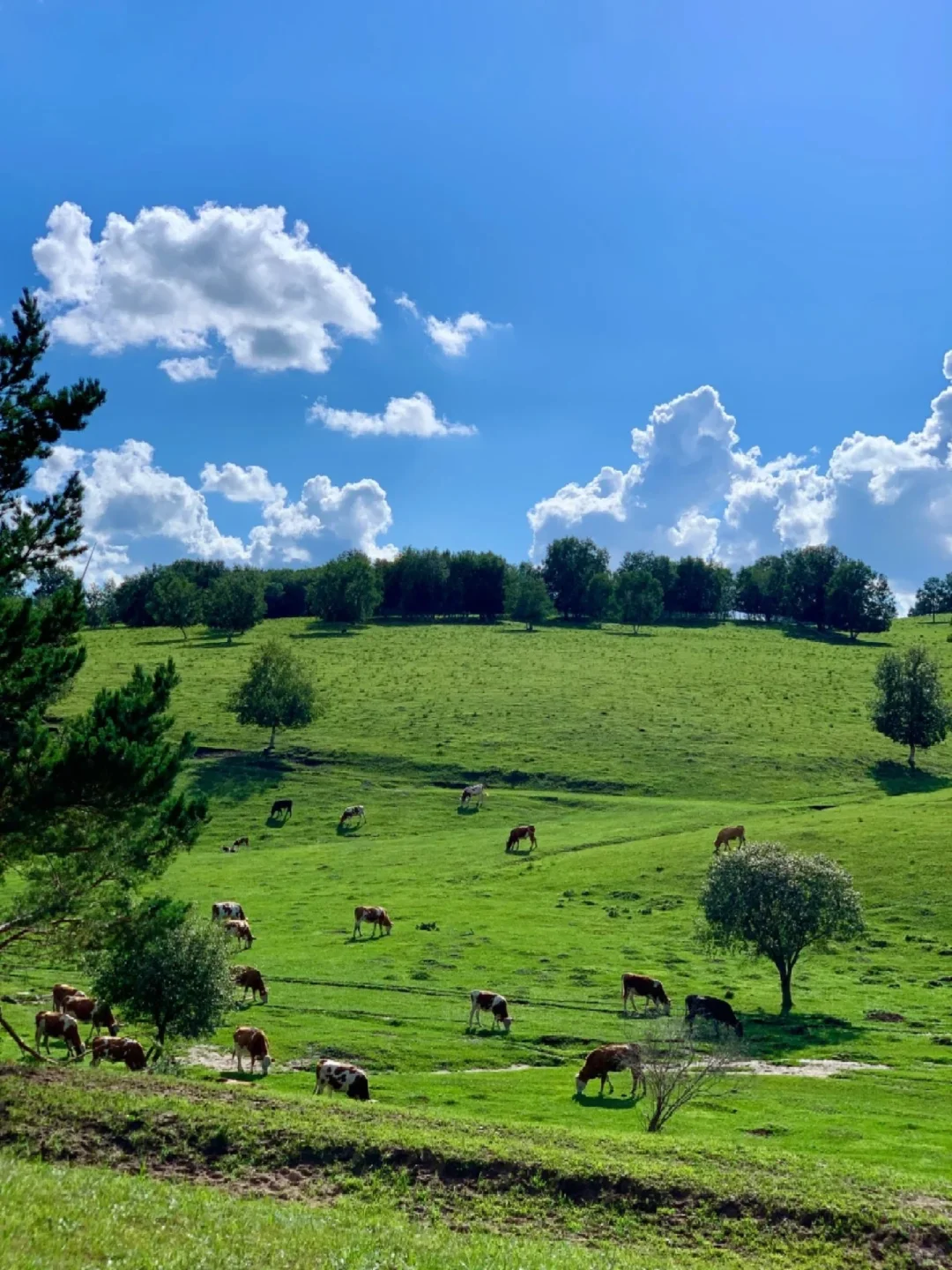 刚从秦皇岛旅游回来，给你们说说大实话！