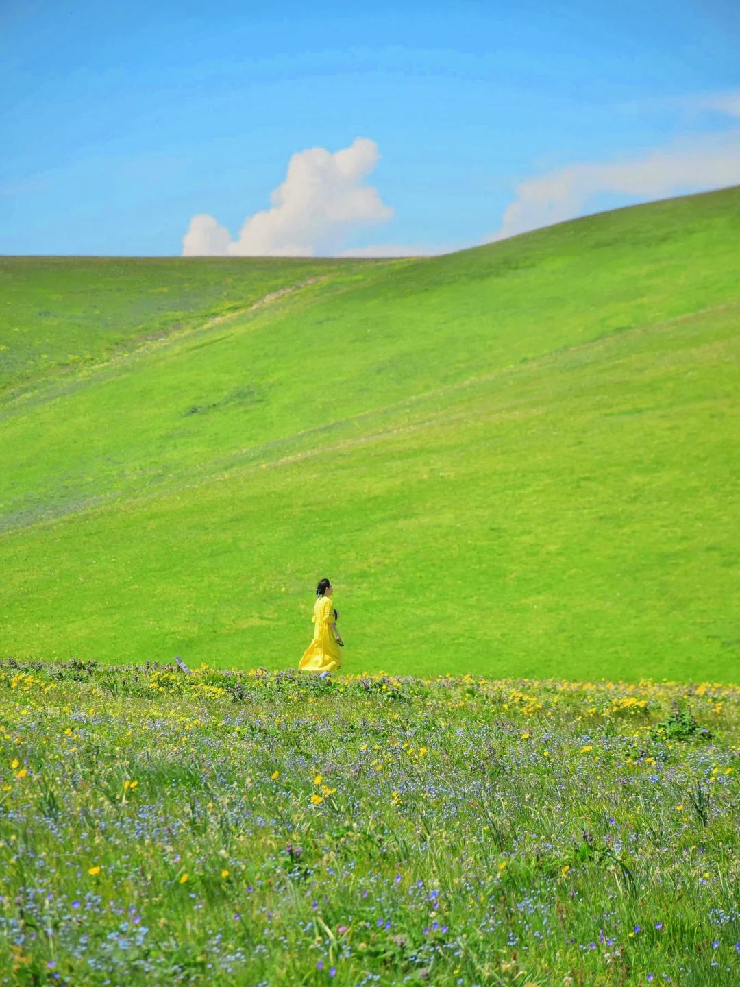 接下来几个月的新疆，每一张都是童话世界！！！