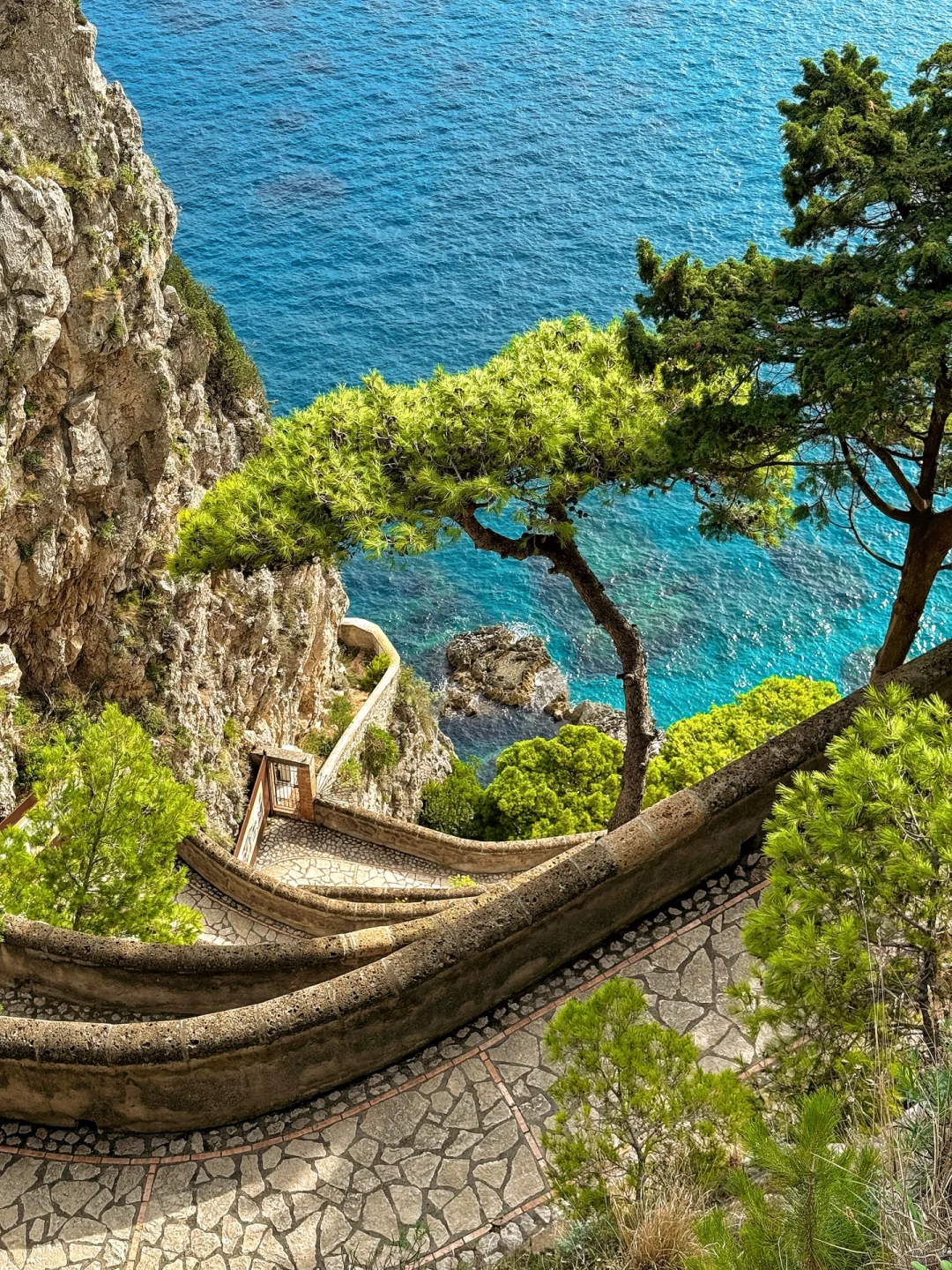 省钱又local~南意可以Salerno，不是Sorrento