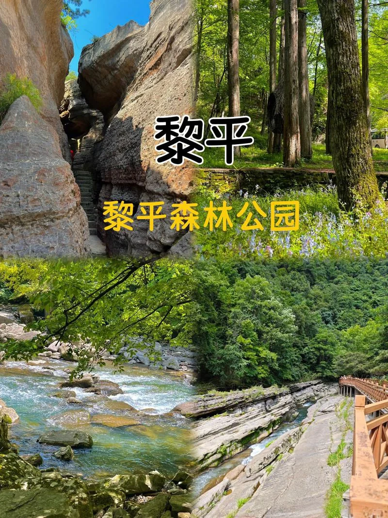 半年一次的汉中周边旅行✈️