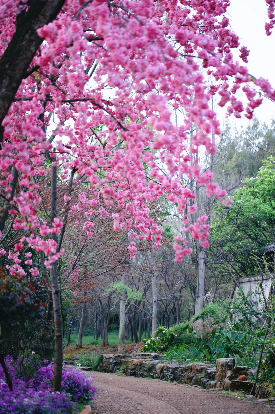 不敢想象，怎么会有这么美的地方🤩❗️❗️