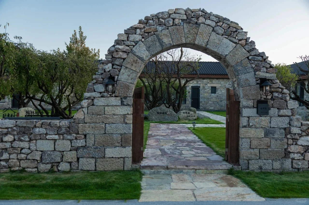 这里不是荷兰！是临沂！！！！