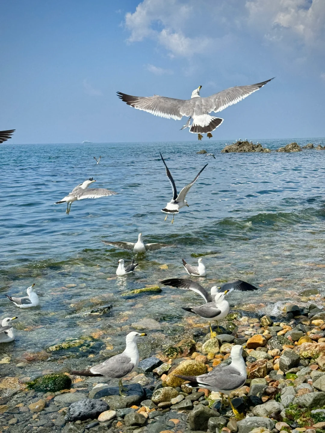 以为烟台已经很美了，直到我去了大连……