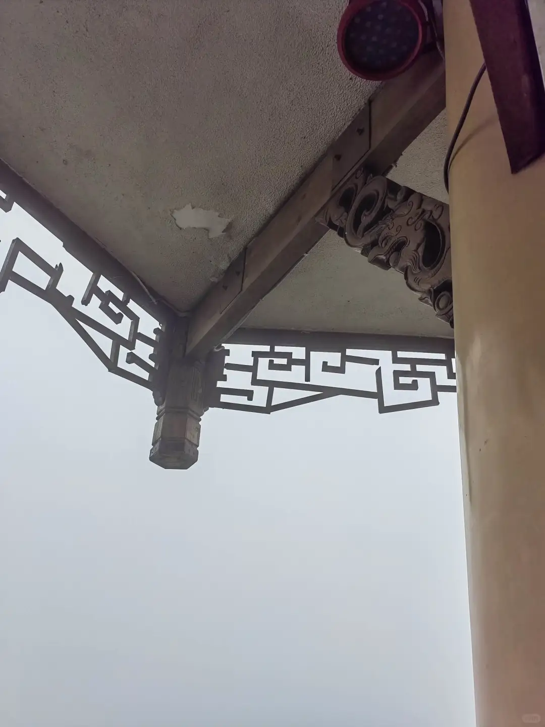 竹林间，轻松成为朋友圈焦点