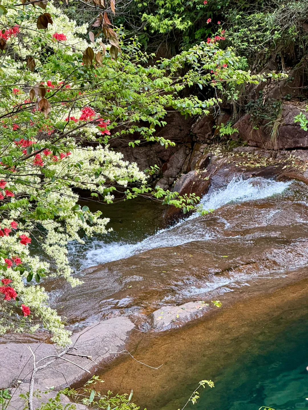 Live实况‼️小红书跟风最成功的一次！！