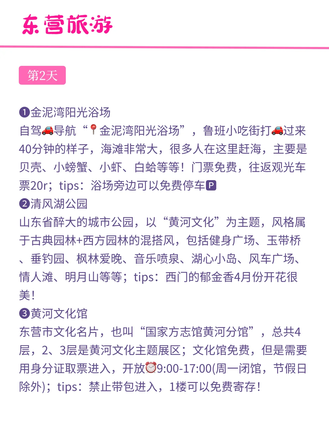 往返东营十几次，最喜欢的旅游路线💯•