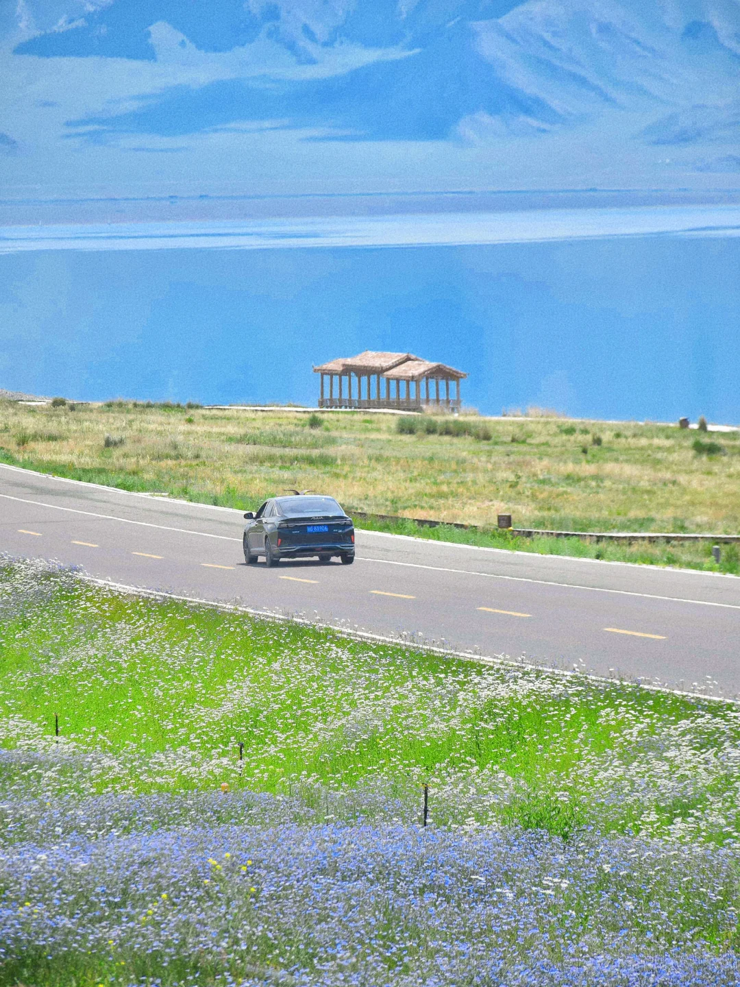 接下来几个月的新疆，每一张都是童话世界！！！