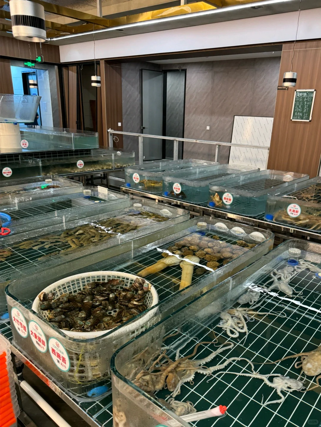 5-6月来日照千万不要🙅把顺序搞反了